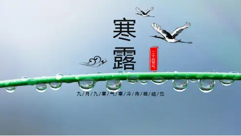 蓝色二十四节气之寒露节气习俗介绍专题PPT