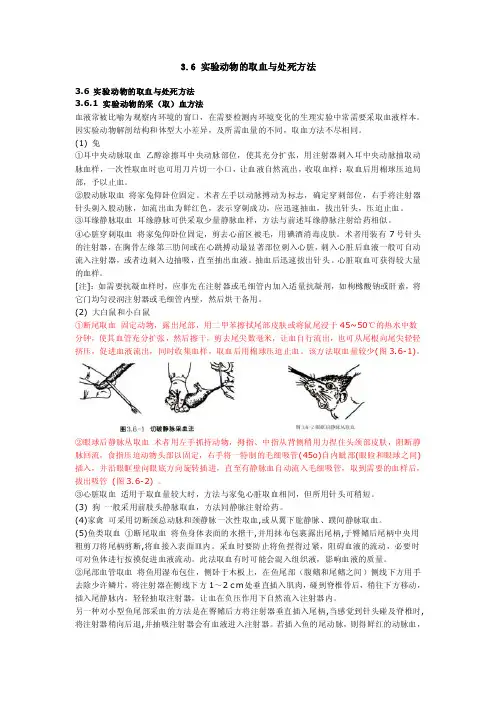 3.6实验动物的取血与处死方法