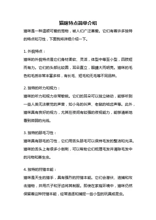 猫咪特点简单介绍