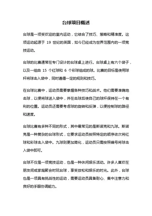 台球项目概述