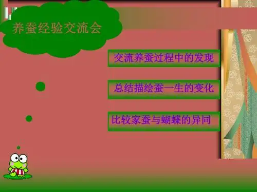 苏教小学科学四下《2.1.我们来养蚕》PPT课件(3)