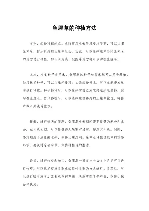 鱼腥草的种植方法
