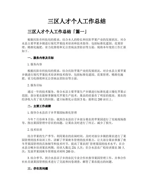 三区人才个人工作总结