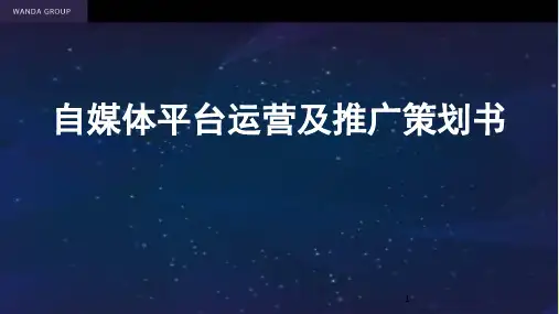 自媒体平台运营及推广策划书ppt课件