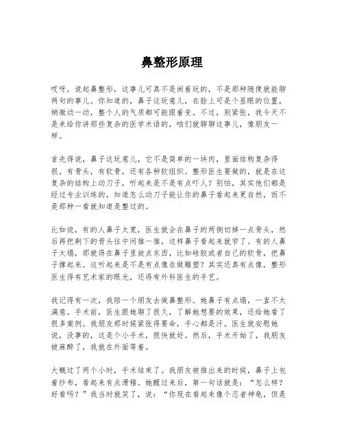 鼻整形原理