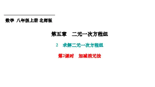 第5章 二元一次方程组 北师大版八年级上册习题课件 第2课时 加减消元法