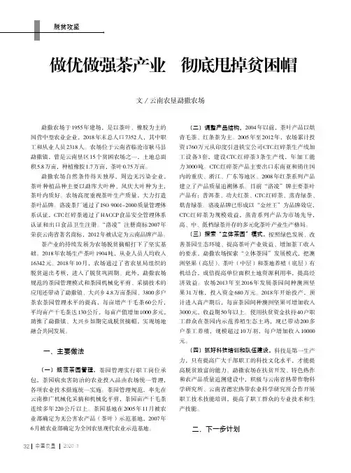 做优做强茶产业 彻底甩掉贫困帽