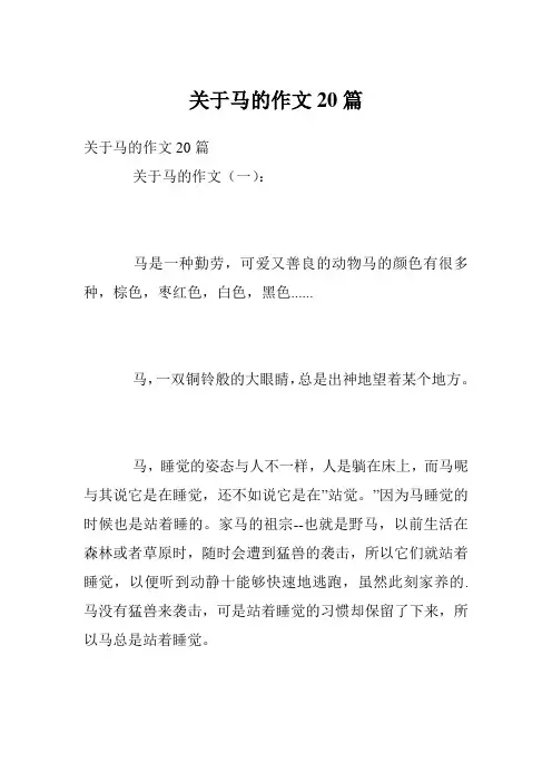 关于马的作文20篇