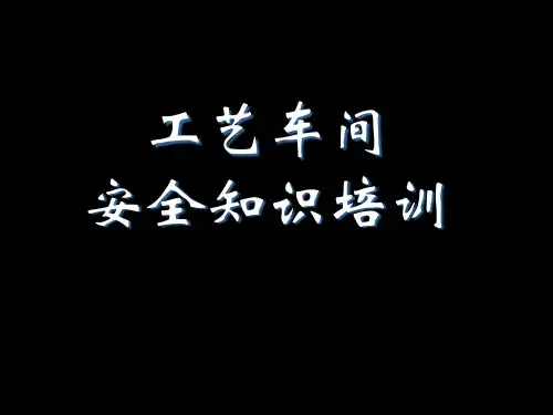 工艺车间级安全培训PPT课件
