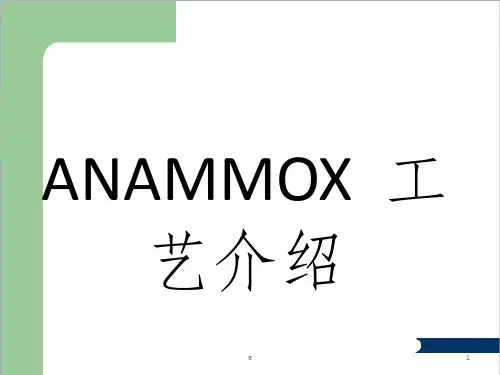 厌氧氨氧化(ANAMMOX)工艺介绍