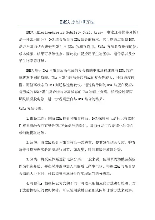 EMSA原理和方法