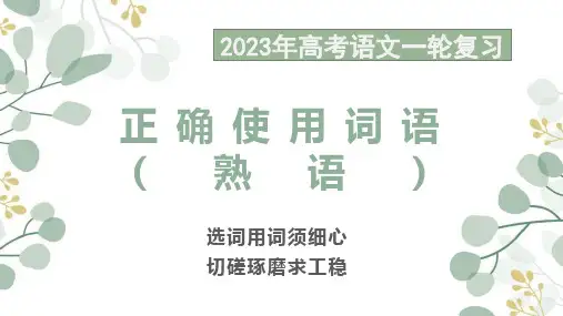高考一轮复习之正确使用词语课件