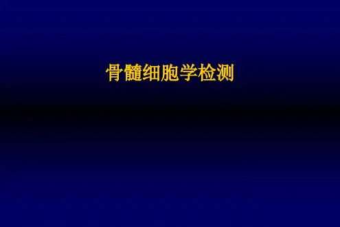 诊断学-骨髓细胞学检测