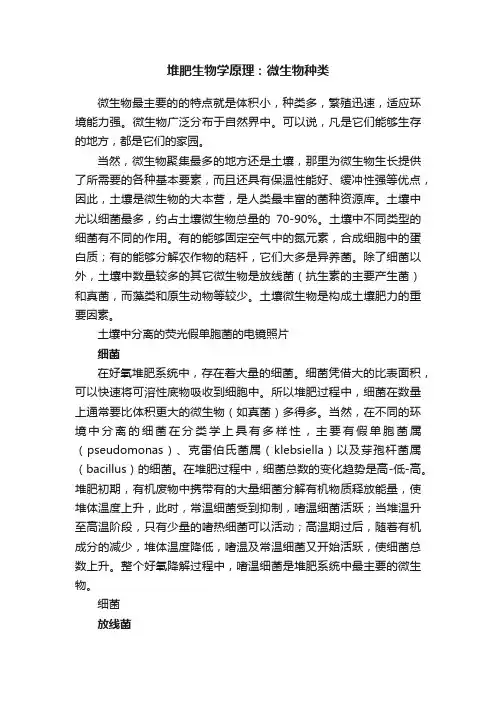 堆肥生物学原理：微生物种类