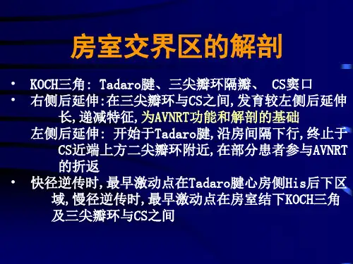14房室结折返性心动过速的诊断和消融技巧hav