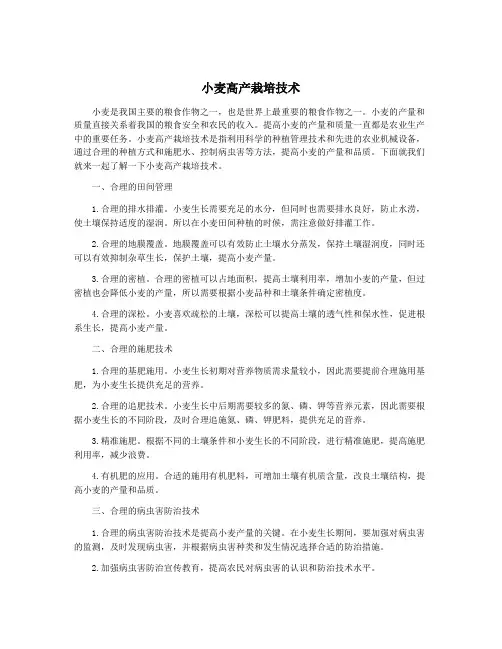 小麦高产栽培技术