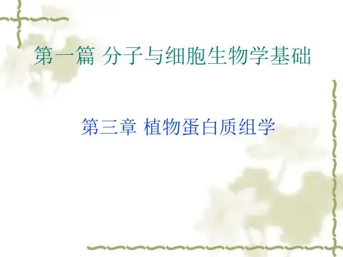 植物蛋白质组学ppt课件