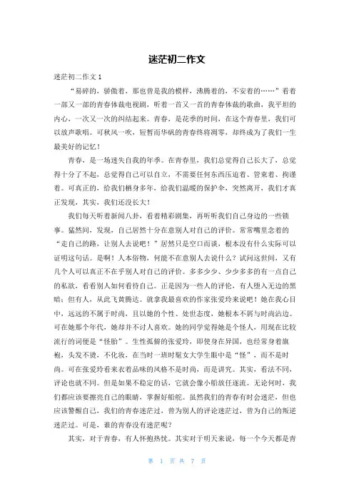 迷茫初二作文