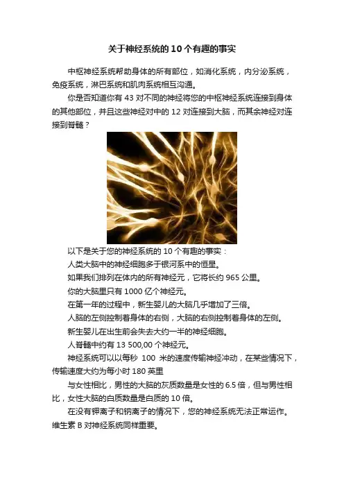 关于神经系统的10个有趣的事实