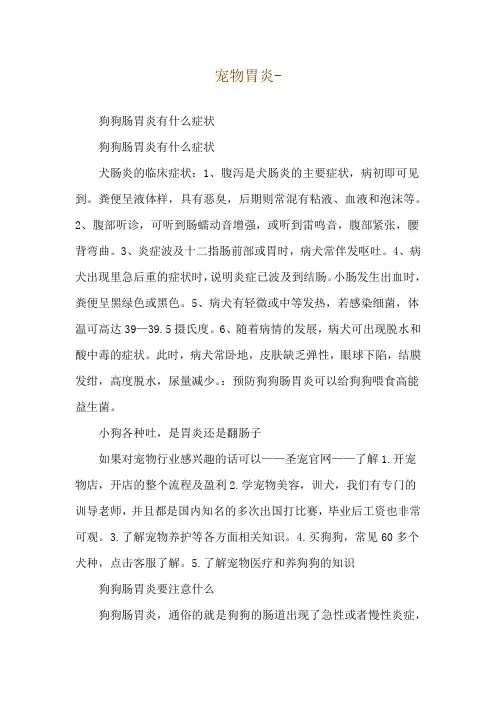 宠物胃炎--狗狗肠胃炎有什么症状