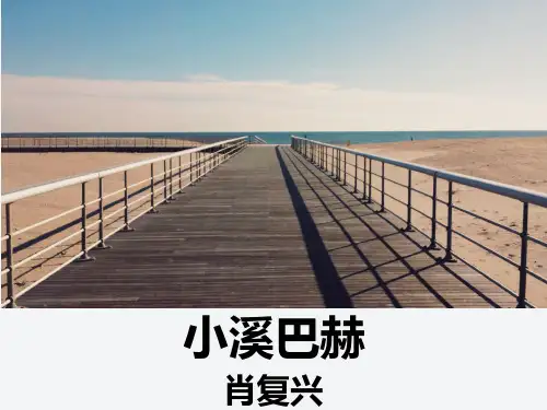 小溪巴赫优秀公开课课件