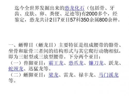 恐龙介绍
