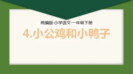 4小公鸡和小鸭子 课件(共24张PPT)