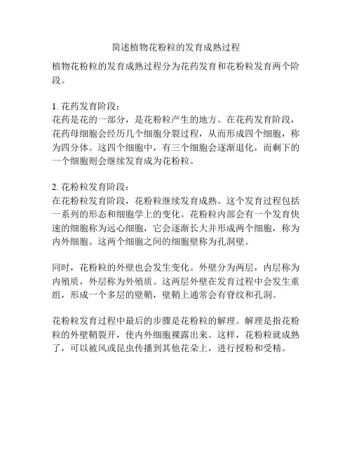 简述植物花粉粒的发育成熟过程