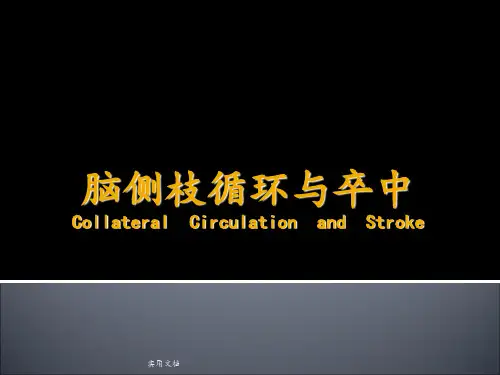 最经典的脑侧枝循环与卒中
