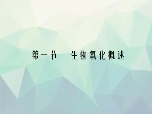 生物化学生物氧化