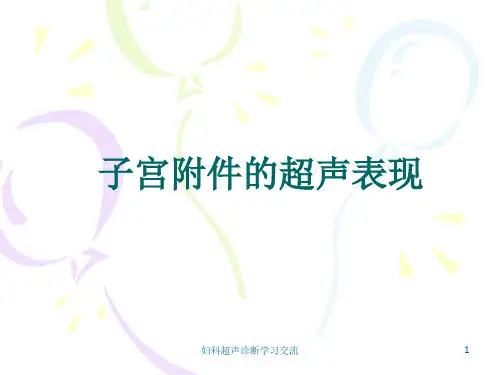 妇科超声诊断PPT课件