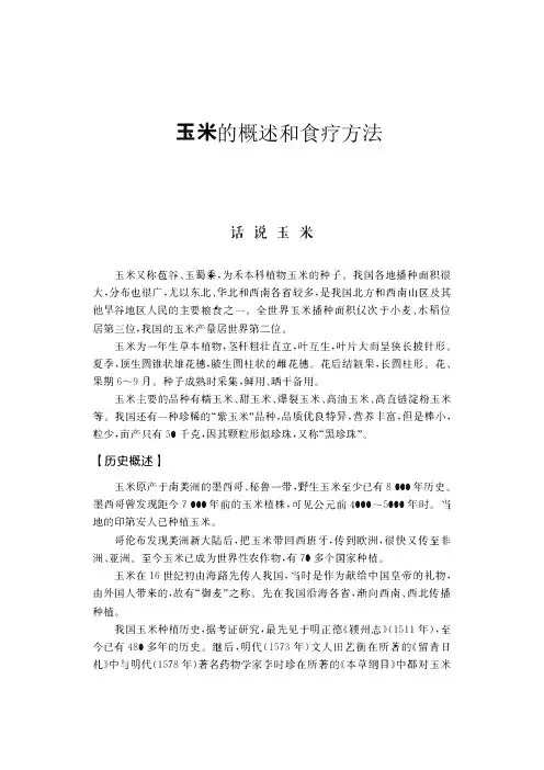 玉米概述及食疗方法