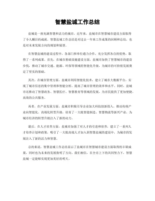 智慧盐城工作总结