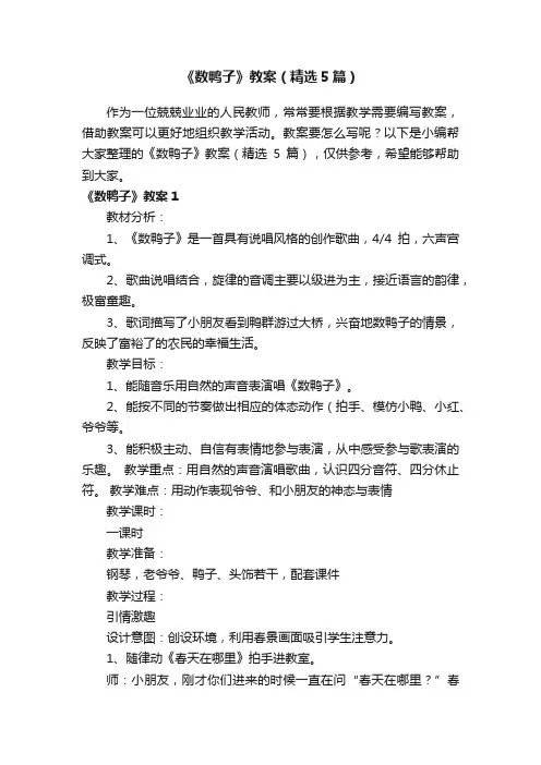 《数鸭子》教案（精选5篇）