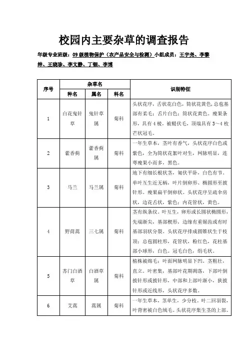校园内主要杂草的调查报告