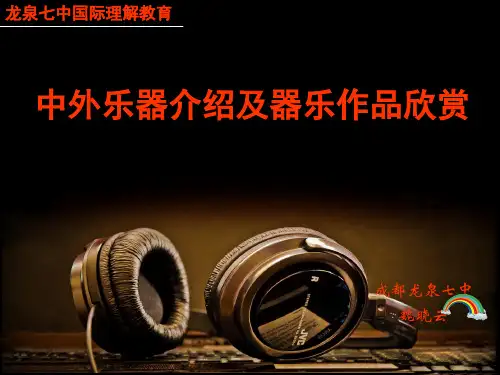 中外乐器介绍及器乐作品欣赏