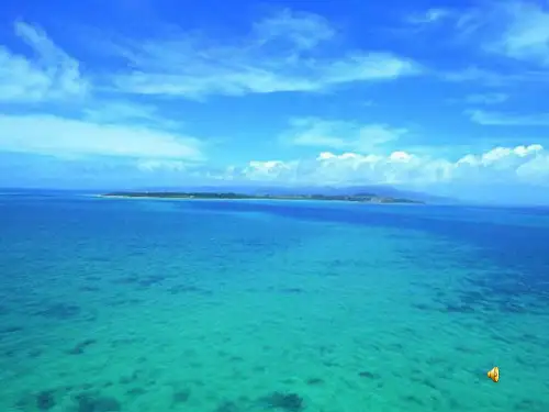浅水洼里的小鱼PPT课件