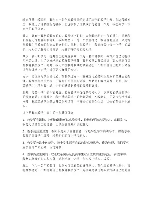 年轻教师教学生涯心得体会