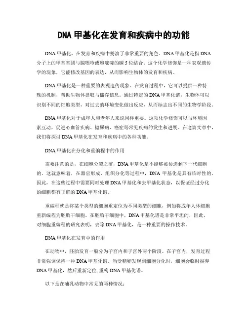 DNA甲基化在发育和疾病中的功能
