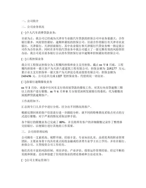担保公司简介范文3篇
