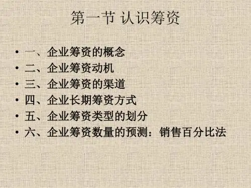 长期资金的筹措
