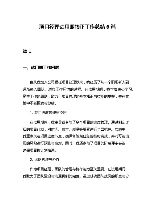 项目经理试用期转正工作总结6篇