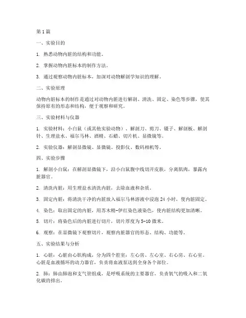 动物内脏标本实验报告(3篇)