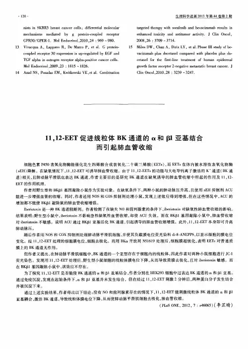 11,12-EET促进线粒体BK通道的α和β1亚基结合而引起肺血管收缩
