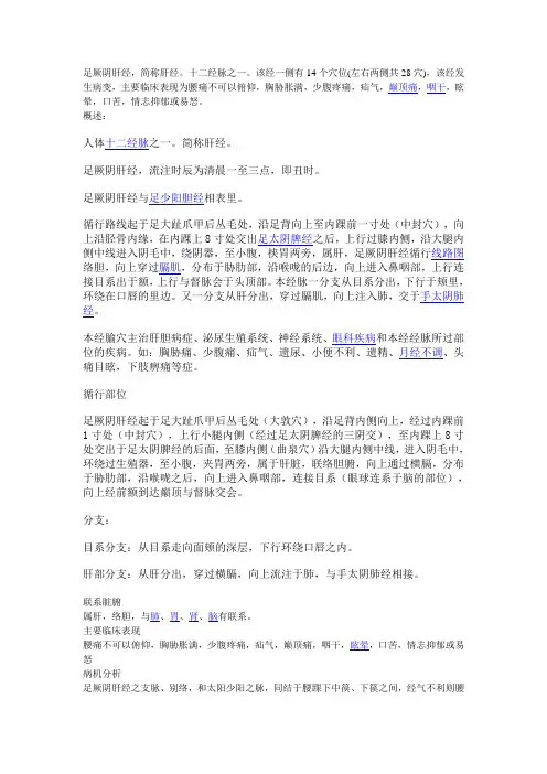 足厥阴肝经