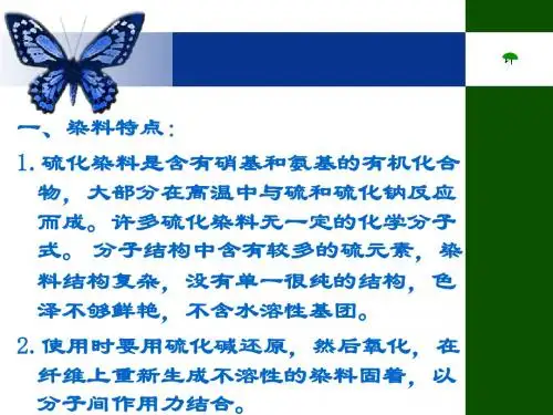 第七章硫化染料染色