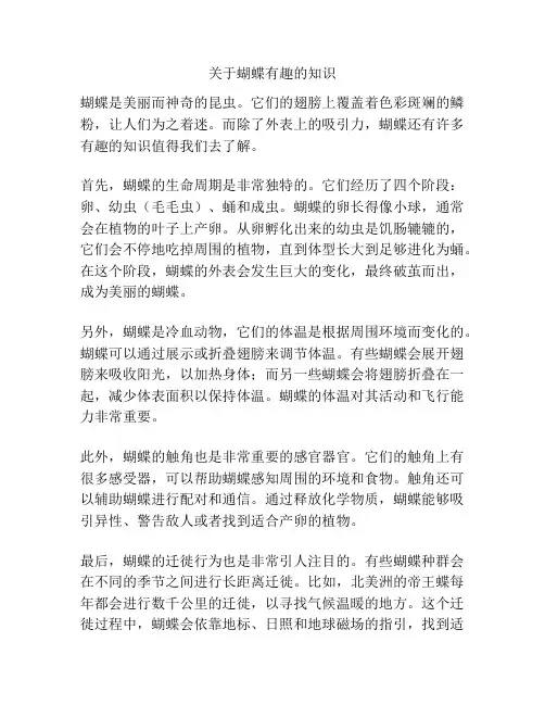 关于蝴蝶有趣的知识