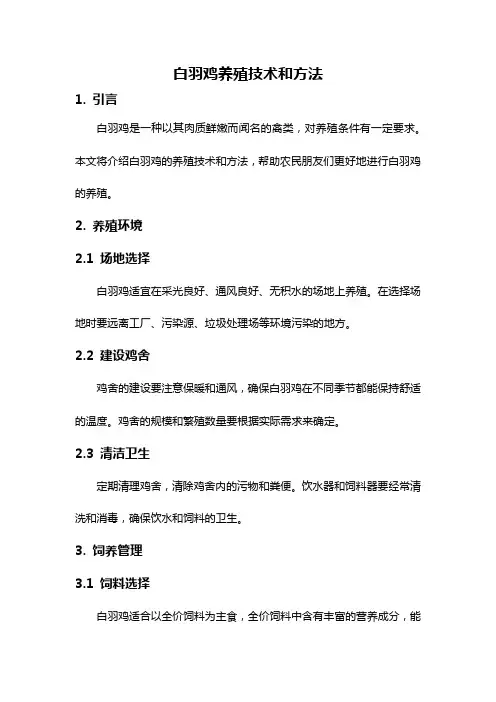 白羽鸡养殖技术和方法