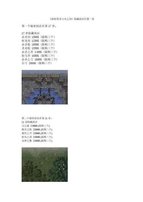 《新暗黑龙与光之剑》隐藏商店位置一览