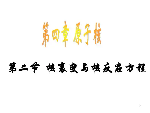 核衰变与核反应方程